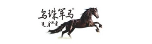乌珠军马贴